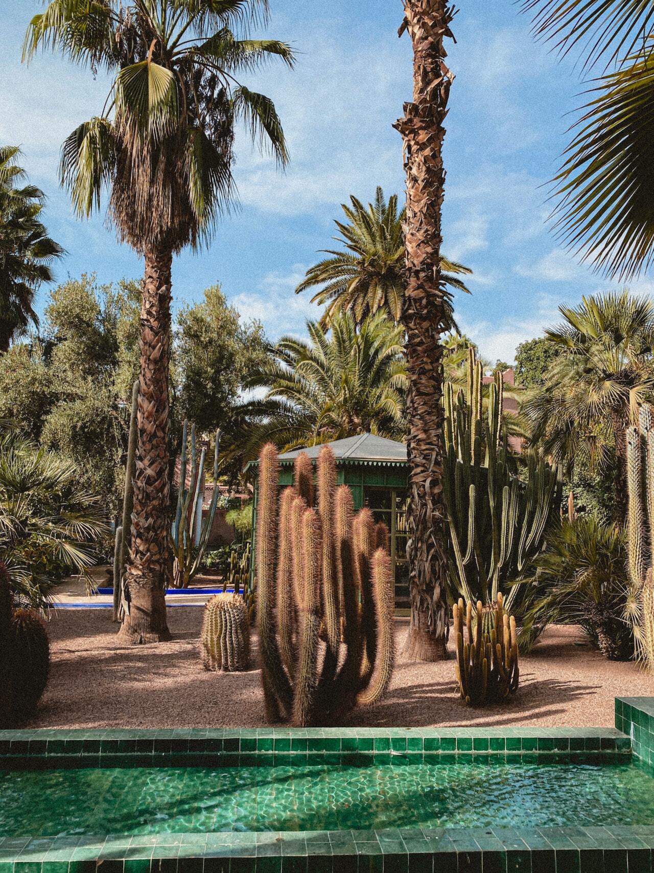Private Casablanca to Marrakech transfer — door-to-door driver by Omar's Shuttle Service